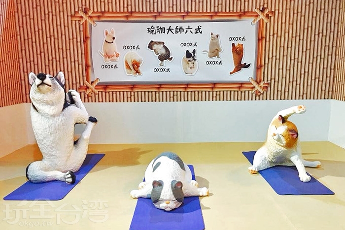 ㄎㄧㄤ度一百 超搞笑的動物公仔展 動物們全部都ㄎㄧㄤ掉了啦 台北新聞玩全台灣旅遊網