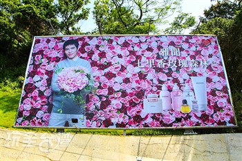 【★本周主打星】快來讓浪漫玫瑰森林包圍蠢蠢欲動的少女心！