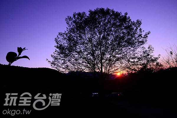 【秋天來了誰知道？】快到精選賞楓地感受濃濃秋意～（北部）