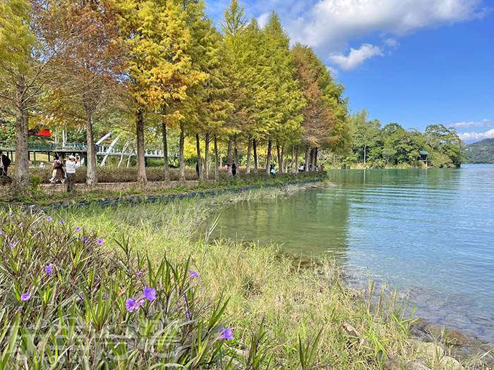 12月日月潭景點推薦：金...