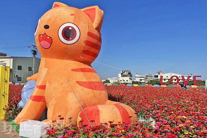 稻田變花園！！原來這裡這...