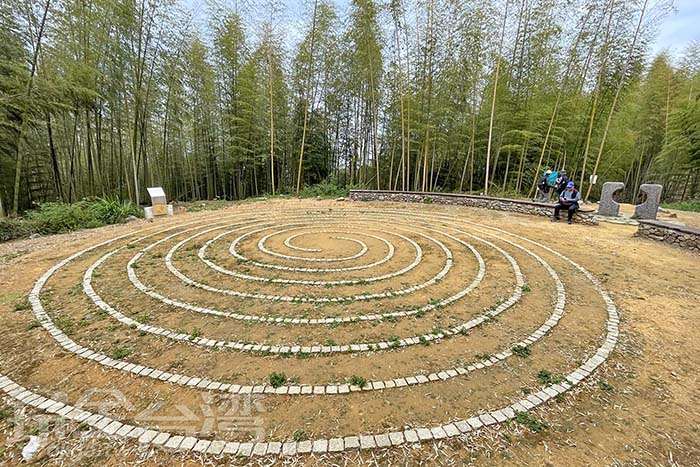 【雲林】假日慢活散策去！前進五元二角，探訪武俠片的秘密竹林！