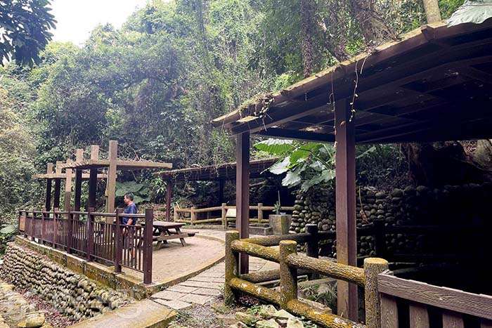 彰化人都推薦的隱藏版步道！挑水古道賞桐、看湧泉、拍美照一次滿足