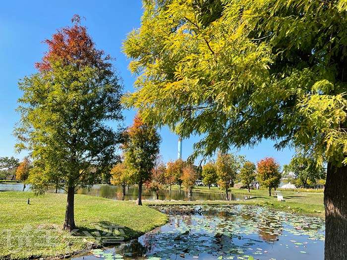 【后里環保公園大冒險】小孩放電、毛孩奔跑、大人放鬆一次滿足！