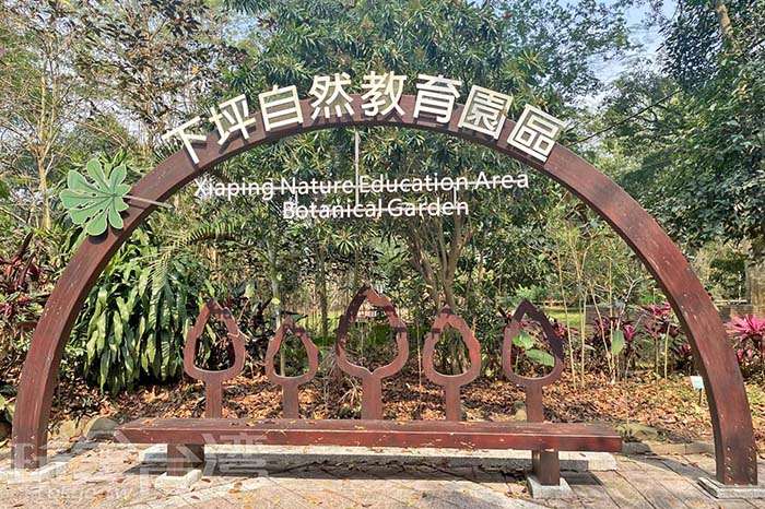 免費入園！南投竹山「下坪自然教育園區」人少又超療癒的森林秘境