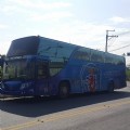 大巴 遊覽車
