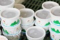 非基改豆漿冰淇淋(竹炭風味)