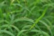相片(18) 相片(18)