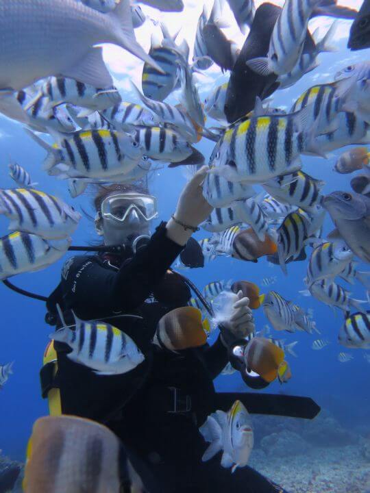 體驗潛水
相片來源：綠島綠海城堡民宿