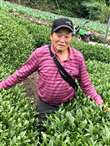 2025.07.28老爸與茶的一生 2025.07.28老爸與茶的一生