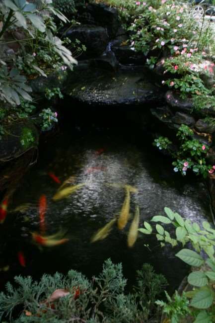 
相片來源：喆園宜蘭民宿