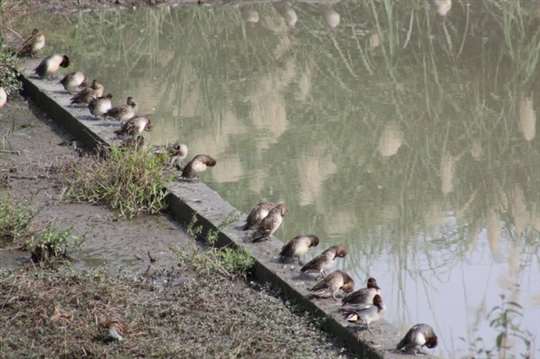 
相片來源：喆園宜蘭民宿