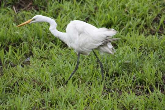 
相片來源：喆園宜蘭民宿