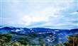山