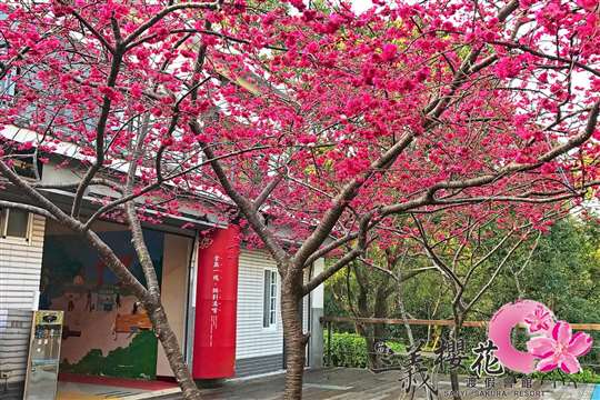 
相片來源：三義櫻花渡假會館