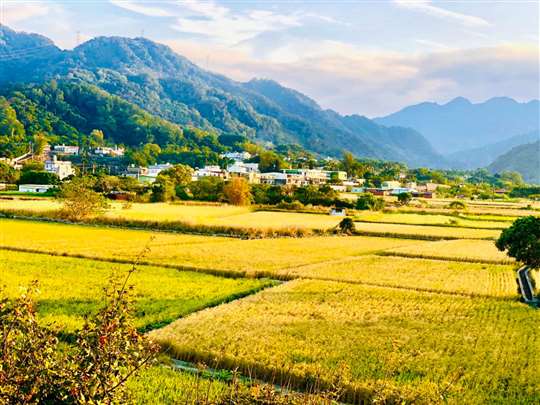 
相片來源：新竹內灣田園春曉包棟民宿
