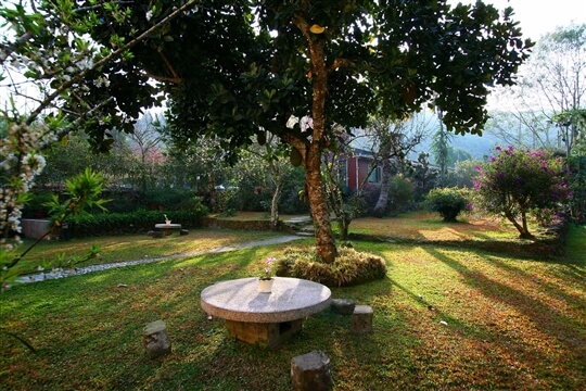 庭園景觀
相片來源：溪頭鋐洋民宿.溪頭住宿