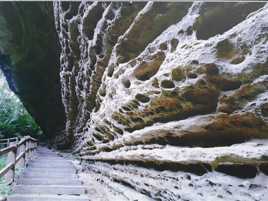 燕子崖---166線道72.2k處
相片來源：瑞里阿漢的家民宿（原瑞勝渡假村）