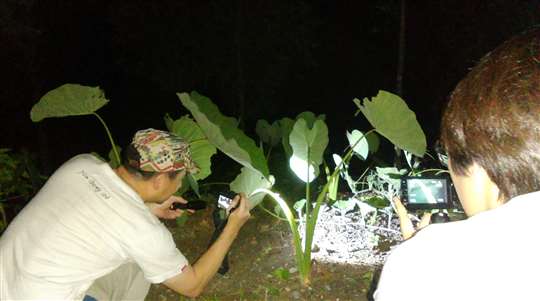 夜間觀察
相片來源：桃米民宿‧桃米生態村‧紅瓦厝山居民宿|埔里民宿