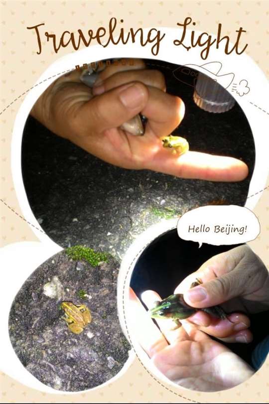 
相片來源：埔里三茅屋民宿