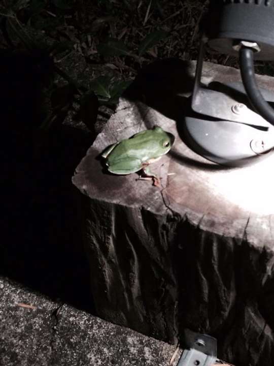 
相片來源：埔里三茅屋民宿