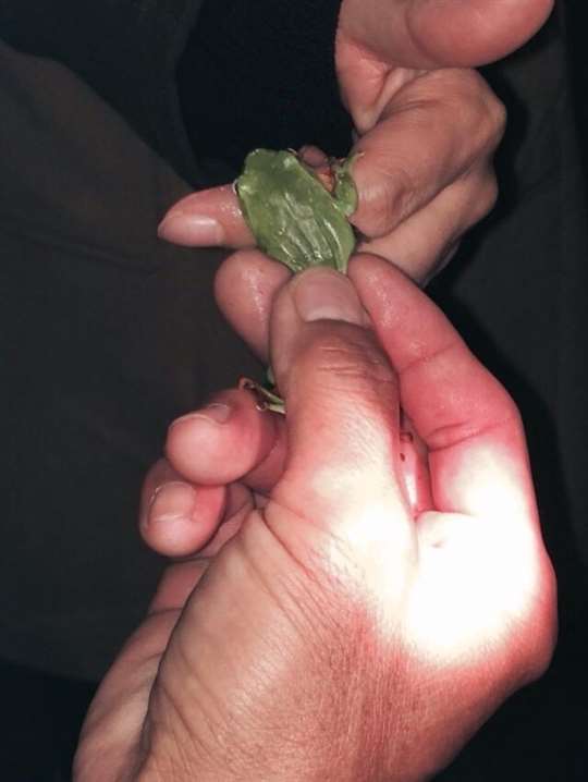 
相片來源：埔里三茅屋民宿