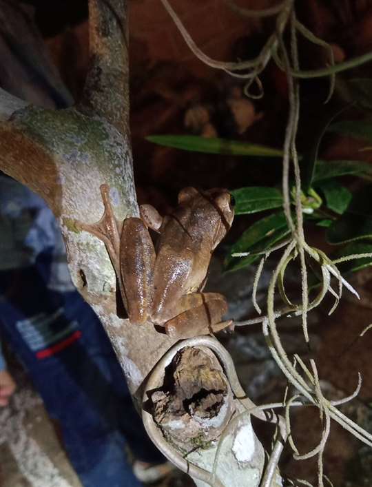 
相片來源：埔里三茅屋民宿