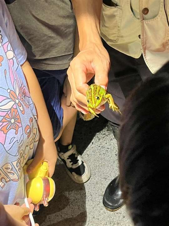 
相片來源：埔里三茅屋民宿