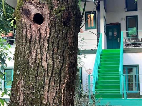 
相片來源：埔里三茅屋民宿