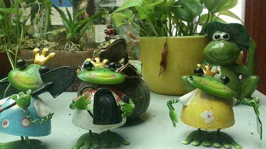 
相片來源：埔里三茅屋民宿
