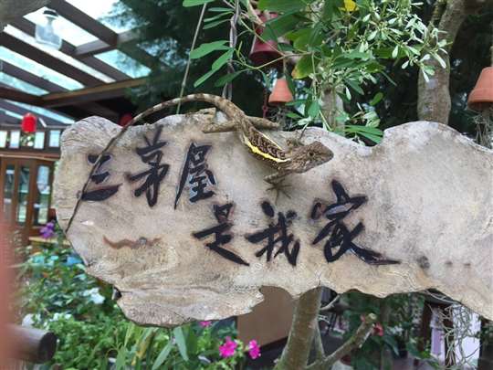
相片來源：埔里三茅屋民宿