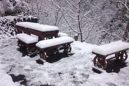 雪景
相片來源：拉拉山谷點咖啡民宿