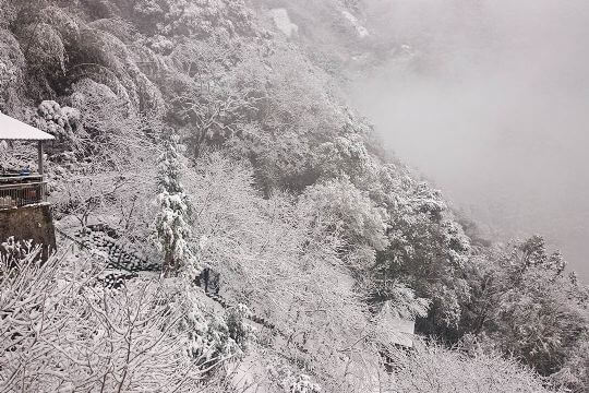 雪景
相片來源：拉拉山谷點咖啡民宿