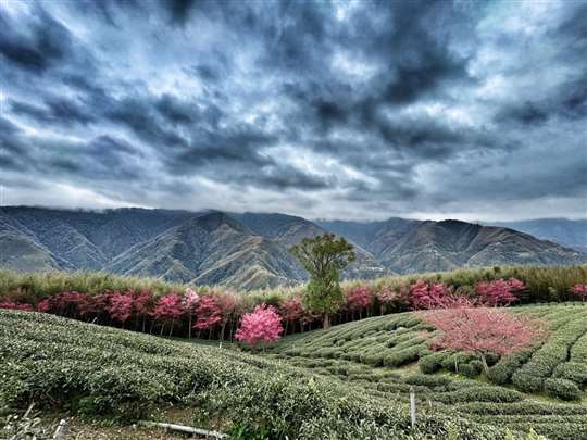 
相片來源：北橫國家風景區·♨️北橫貫下巴陵溫泉山莊