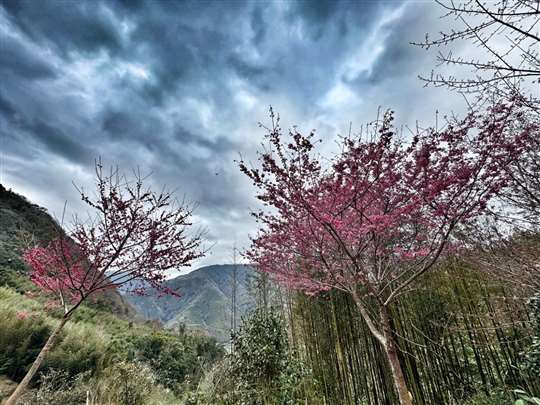 
相片來源：北橫國家風景區·♨️北橫貫下巴陵溫泉山莊