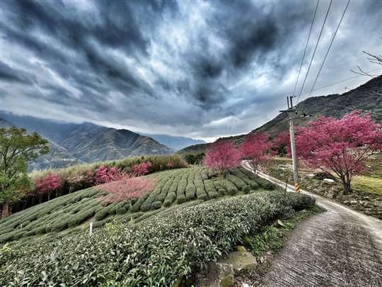 
相片來源：北橫國家風景區·♨️北橫貫下巴陵溫泉山莊