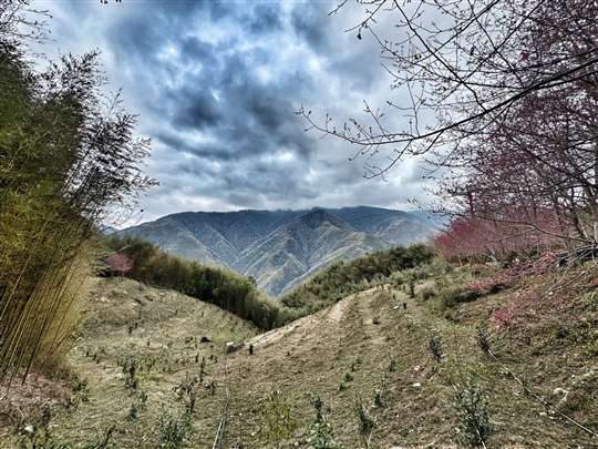 
相片來源：北橫國家風景區·♨️北橫貫下巴陵溫泉山莊
