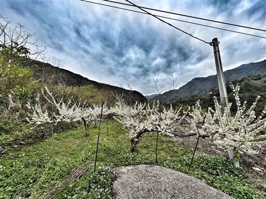 
相片來源：北橫國家風景區·♨️北橫貫下巴陵溫泉山莊