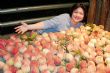 桃花源農莊內採果樂 桃花源農莊內採果樂