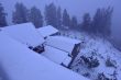 2016 拉拉山民宿 大雪 2016 拉拉山民宿 大雪