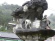 菁桐 菁桐