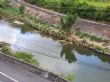 基隆河畔 基隆河畔