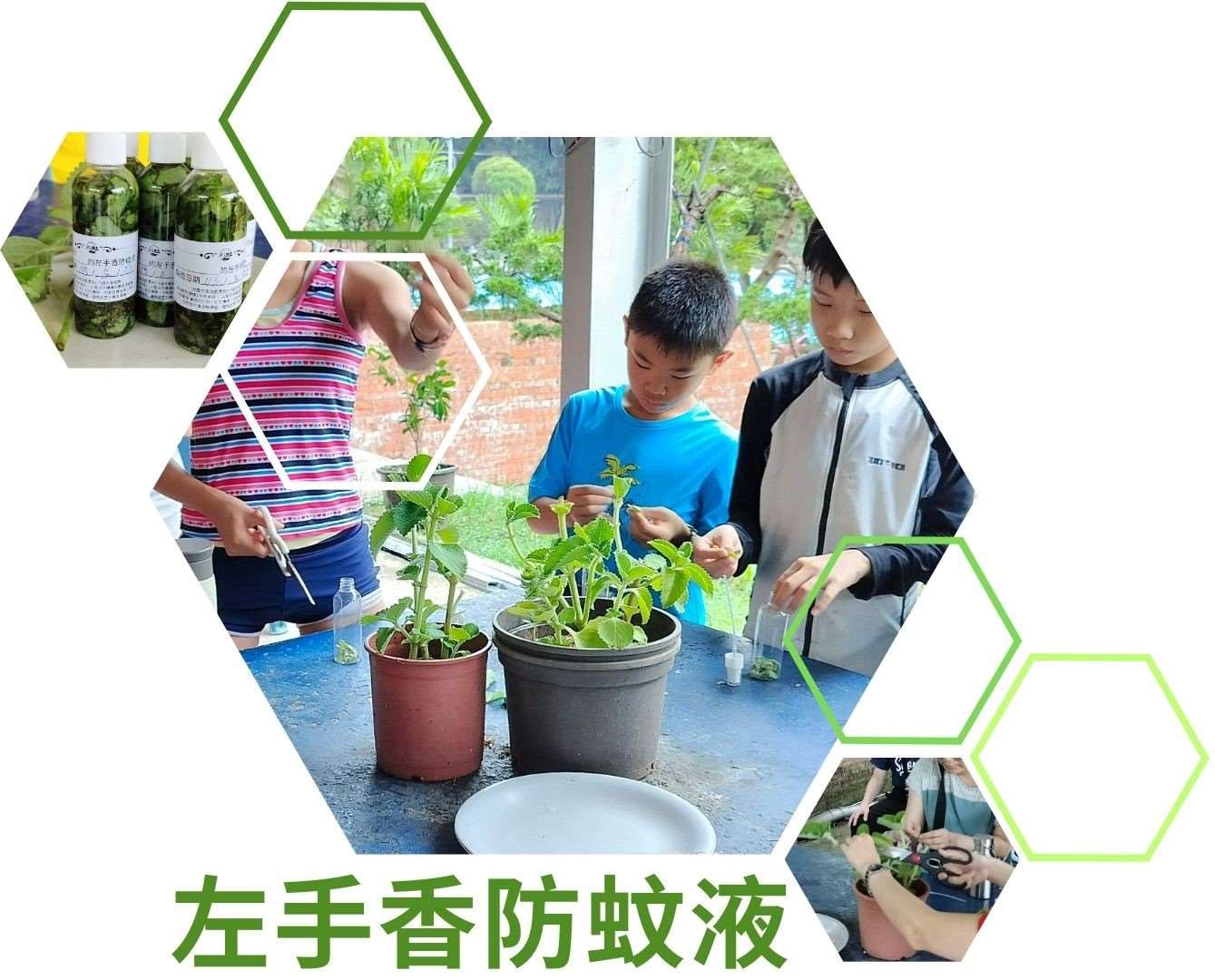 左手香防蚊液