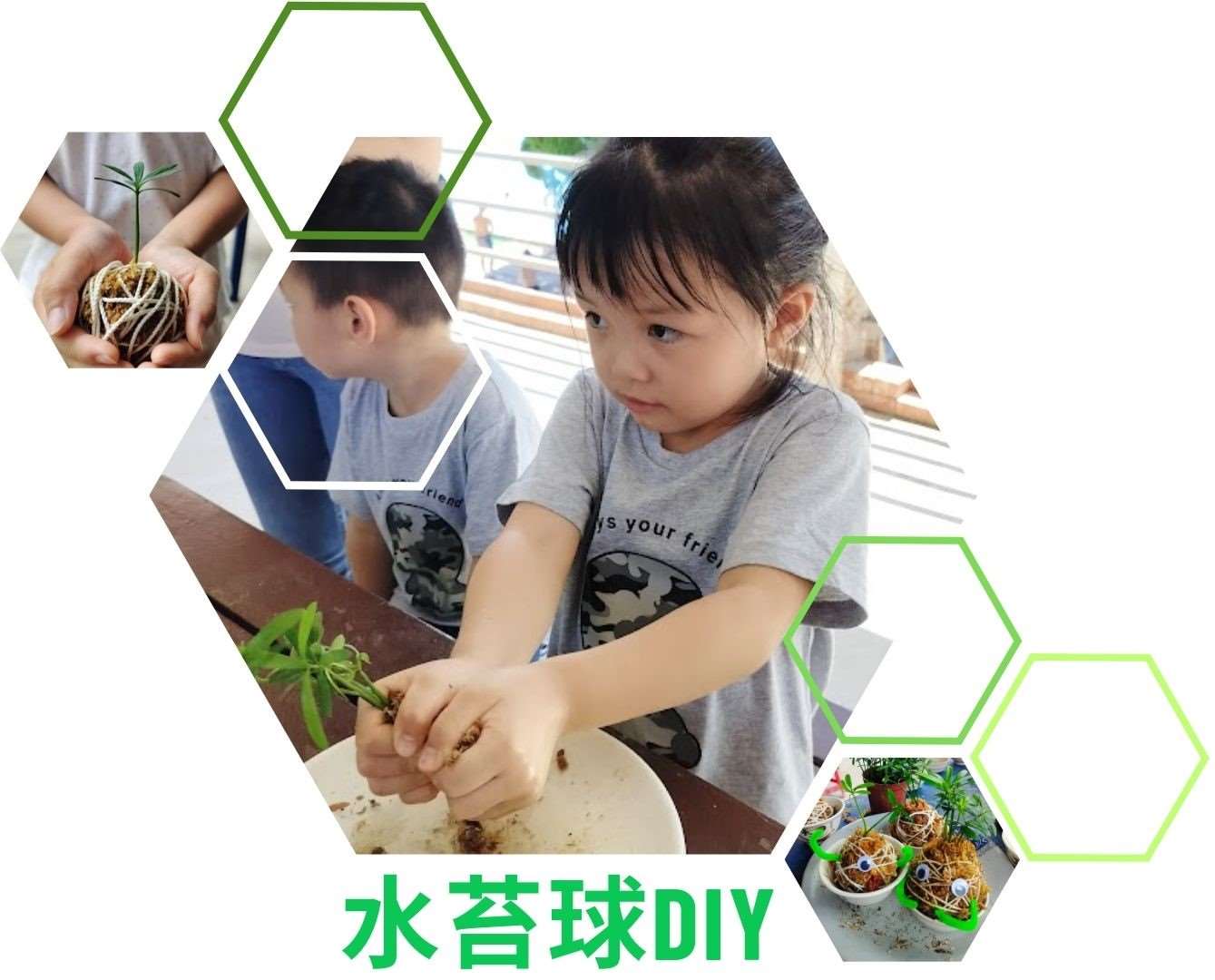 水苔球DIY