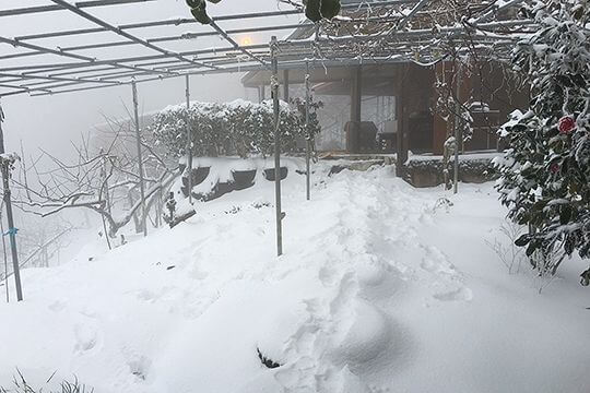 2016年雪景
相片來源：拉拉山佳儂景觀休憩農場