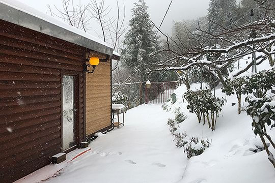 2016年雪景
相片來源：拉拉山佳儂景觀休憩農場