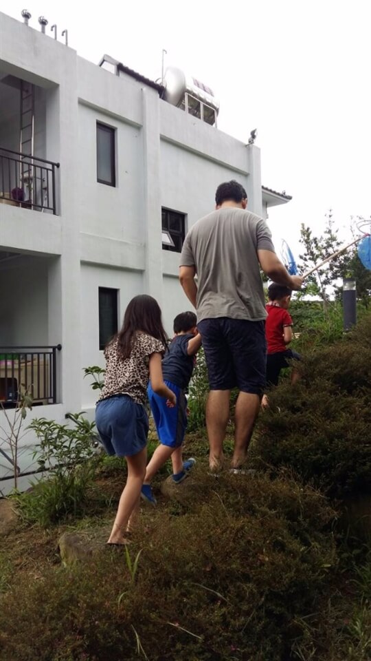荳田町遊客親子教育樂融融，做爸爸的講解蜻蜓如何吃蚊子。
　