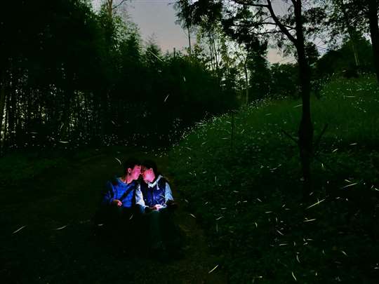 螢火蟲人像
相片來源：山城客棧阿本的家