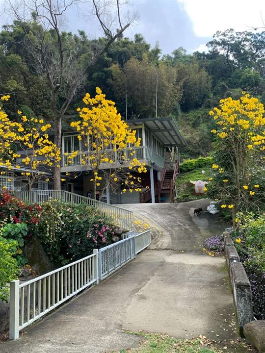 
相片來源：新社橄欖樹夢想園地【官方網站】