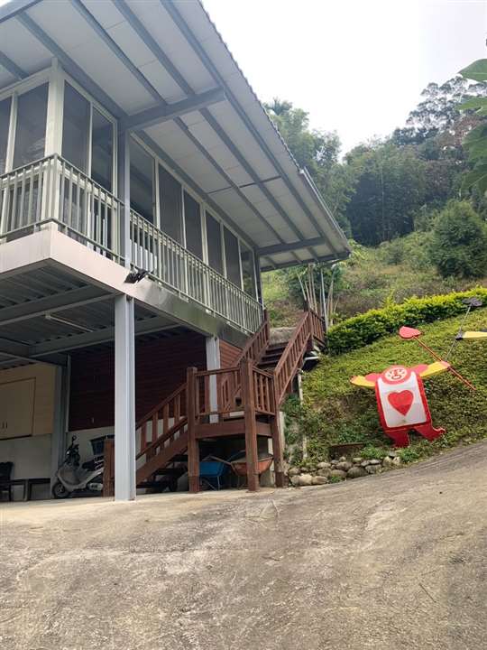 
相片來源：新社橄欖樹夢想園地【官方網站】